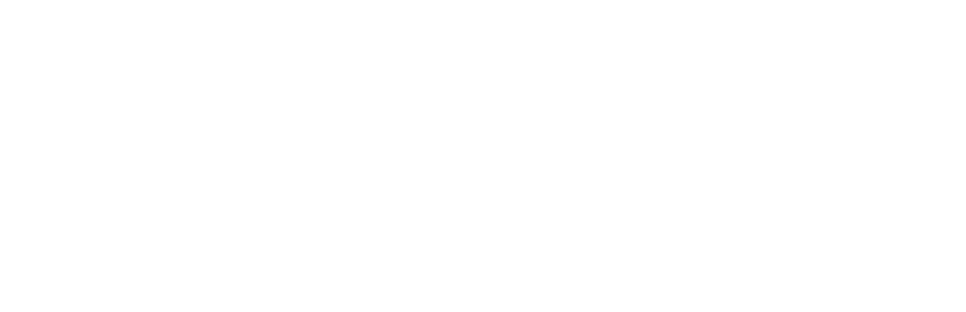 SwapIn